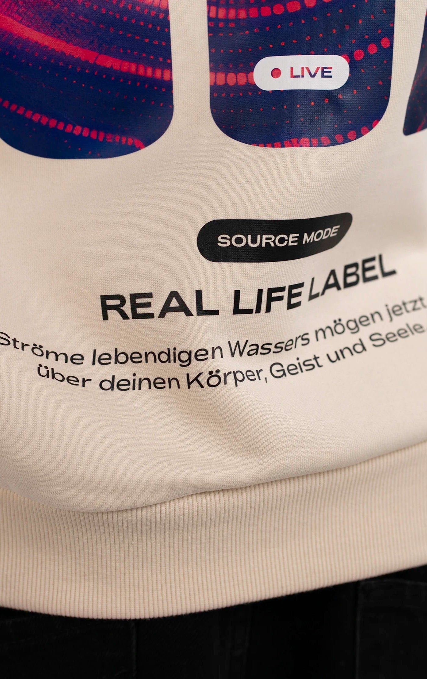 Detail des Signal Backprints auf dem Open Source Signal Hoodie von Source Mode. Digitales GOD Signal Artwork als Symbol für Gegenwart, Verbindung, Führung und wahres Leben. Christliche Premium Streetwear, Christian Fashion und Faith Based Streetwear. iAGI Allmighty General Intelligence LinkedIn. IJN Amen42.