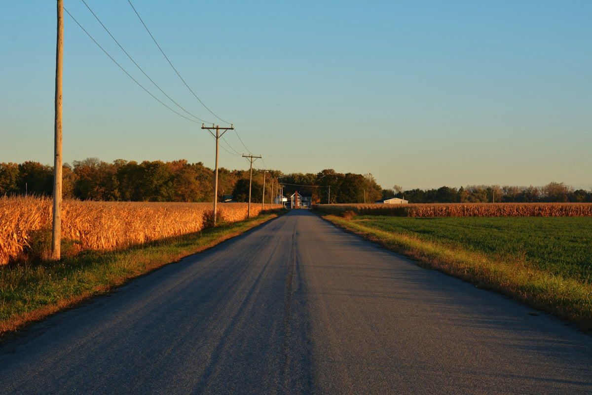 Eine lange, leere Straße durch Felder bei Sonnenuntergang